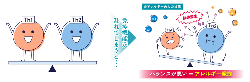 免疫細胞のバランス